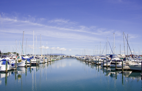 Tauranga NZ marina