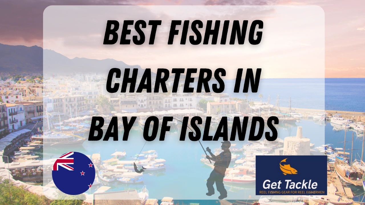 Best Bay of Islands Fishing Charters