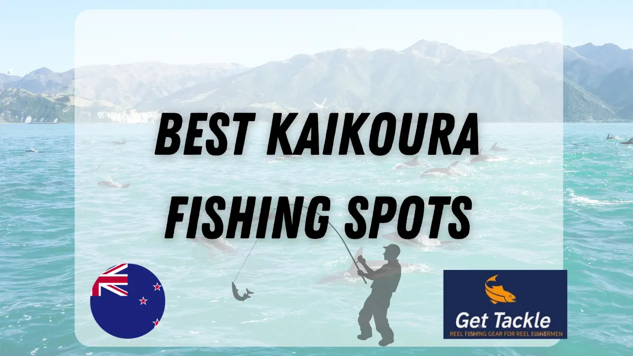 Best Kaikoura Fishing Spots