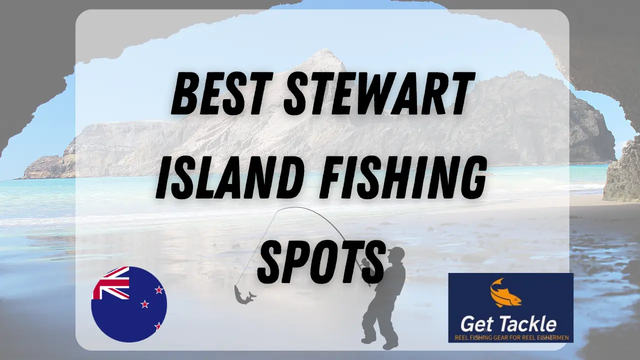 Best Stewart Island Fishing Spots Top Places to Fish in Far South
