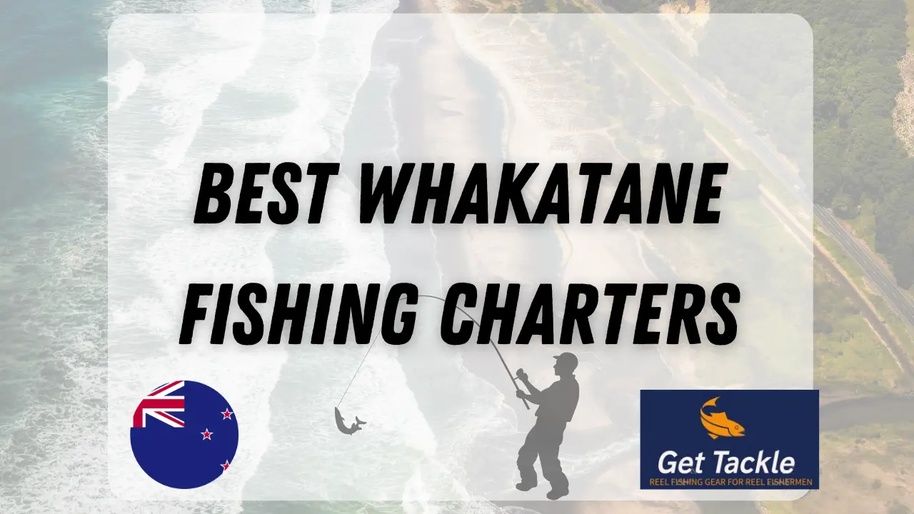 Best Whakatane Fishing Charters Book a Charter Get Tackle