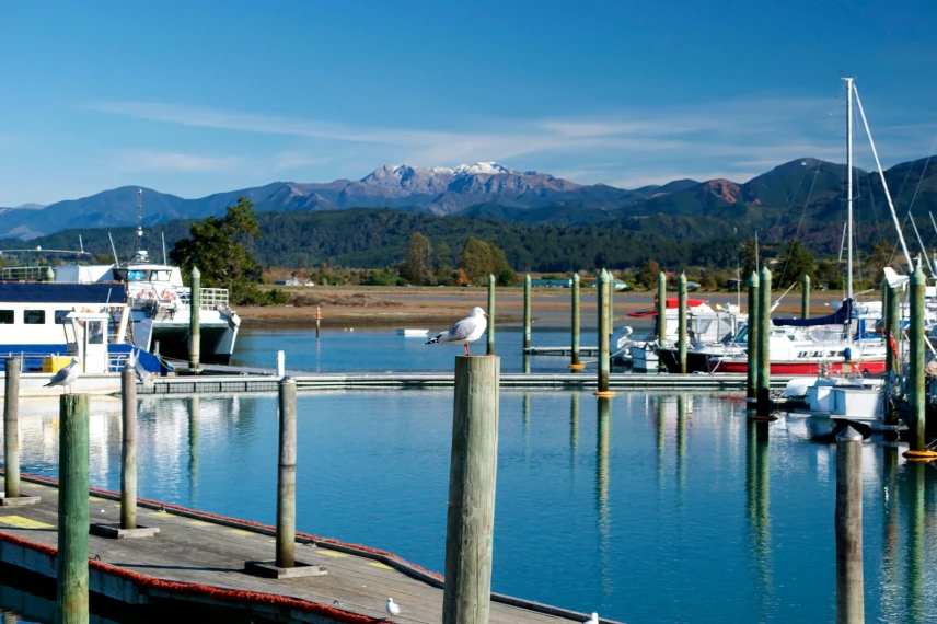 Best Marlborough Sounds Fishing Spots Get Tackle