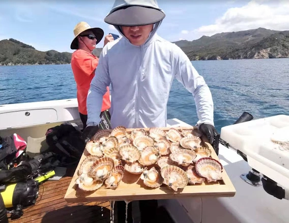 Sunday Charters