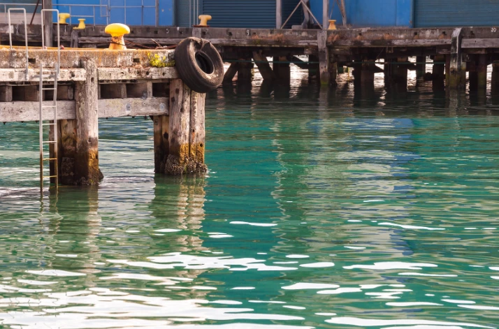auckland harbor