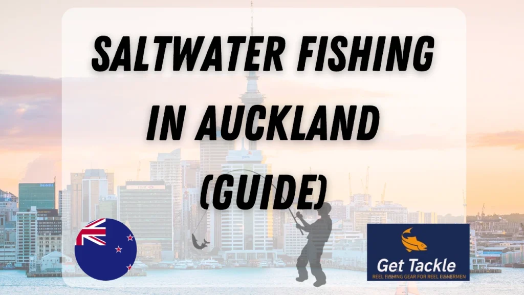 Saltwater Fly Fishing in Auckland [Guide] Get Tackle