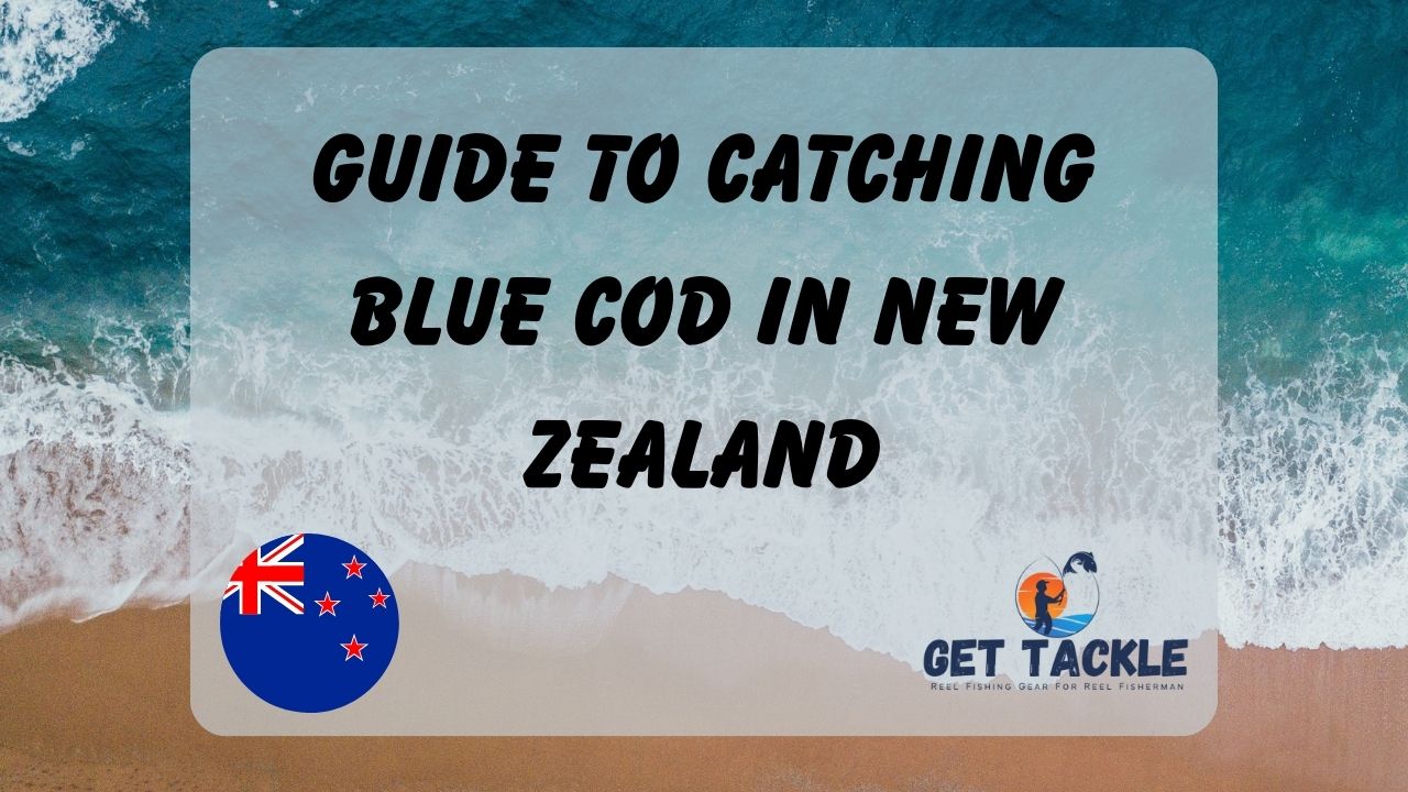 Guide to Catching Blue Cod in New Zealand