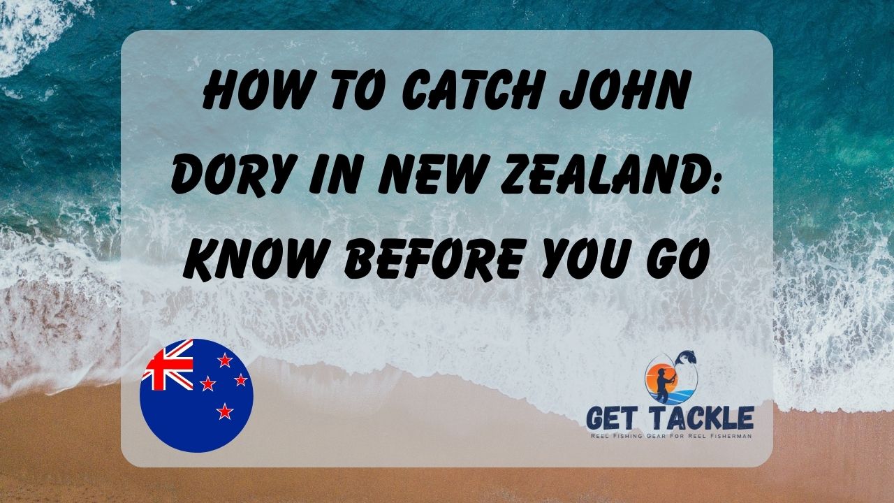 How to Catch John Dory in New Zealand Know Before You Go