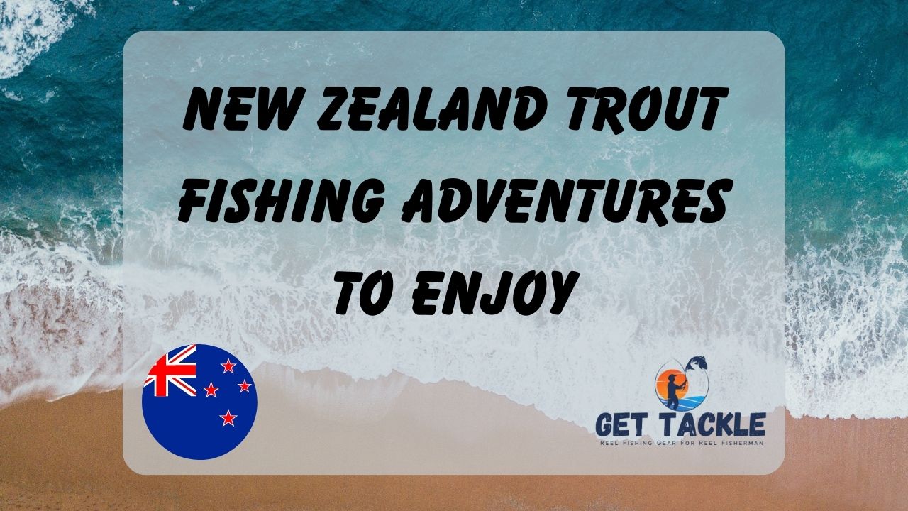 New Zealand Trout Fishing Adventures to Enjoy