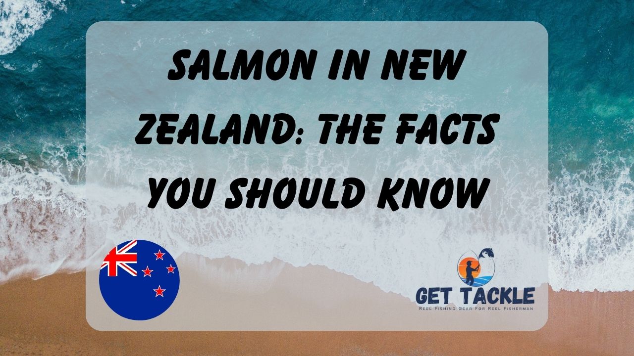 Salmon in New Zealand The Facts You Should Know Get Tackle