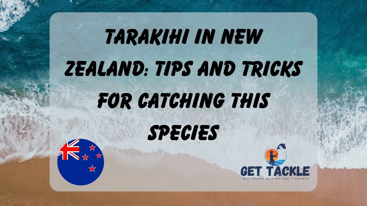 Tarakihi in New Zealand Tips and Tricks for Catching this Species