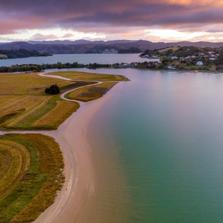 Best Fishing Spots in Manukau Harbour Get Tackle
