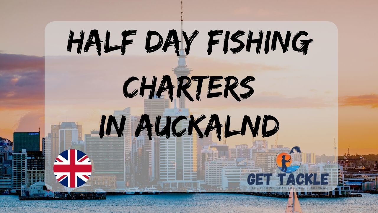 Half Day Fishing Charters in Auckland Get Tackle