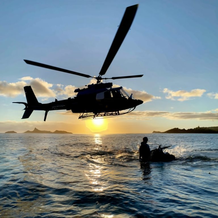 Auckland Fishing The Complete Guide for 2023 Get Tackle