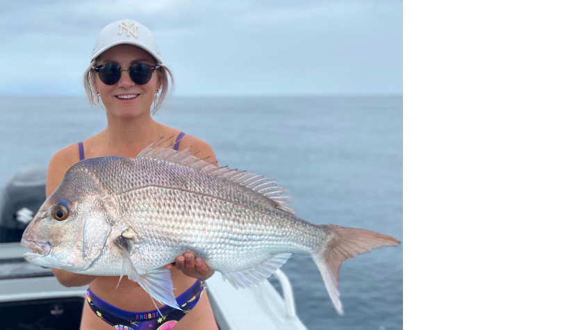 snapper fish