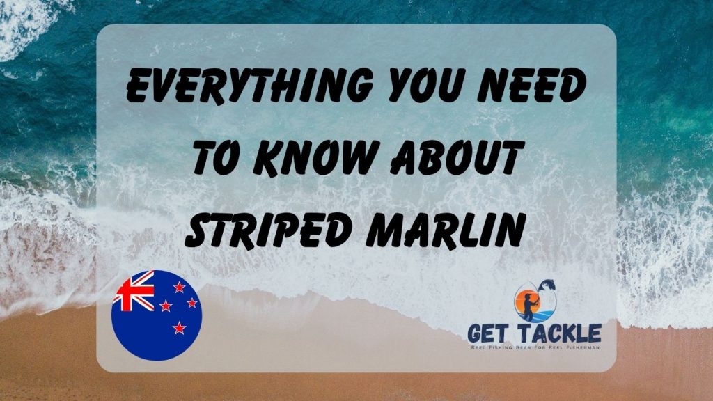 Striped Marlin Fishing in New Zealand - Get Tackle