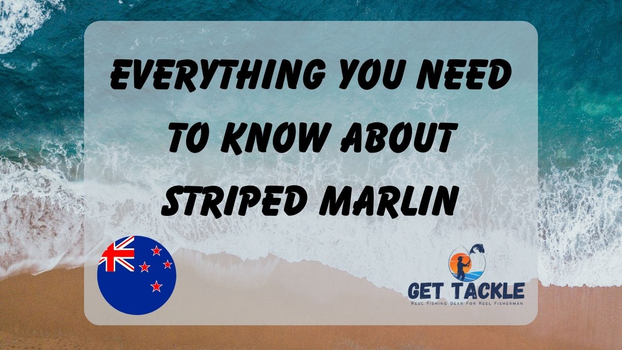 what you need to know about striped marlin